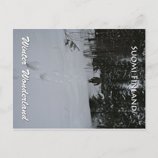 Postal Winter Wonderland (Anverso)