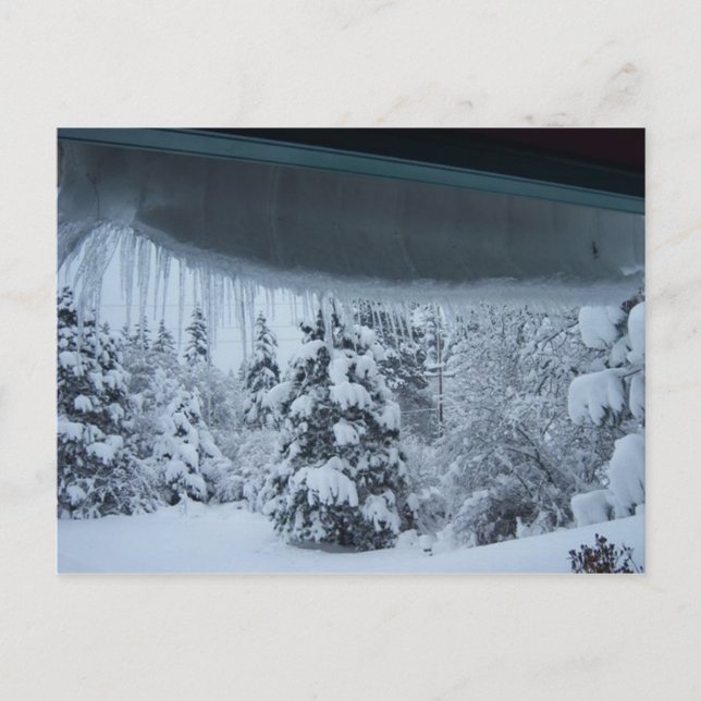 Postal Winter Wonderland (Anverso)