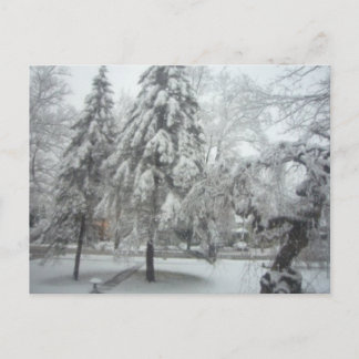 Postal Winter Wonderland