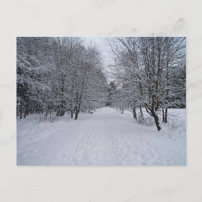 Postal Winter wonderland (Anverso)