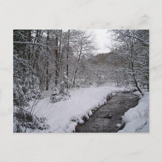 Postal Winter wonderland (Anverso)