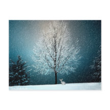 Winter Wonderland con conejo