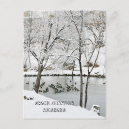 Postal Winter Wonderland en el parque Duck Pond