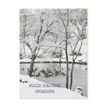 Winter Wonderland en el parque Duck Pond