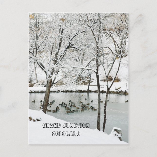 Postal Winter Wonderland en el parque Duck Pond (Anverso)