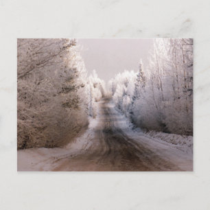 Postal Winter Wonderland - Postcard