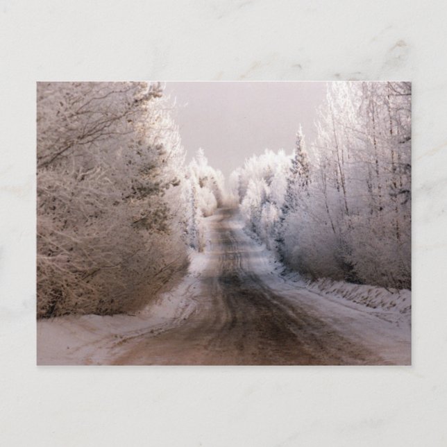 Postal Winter Wonderland - Postcard (Anverso)