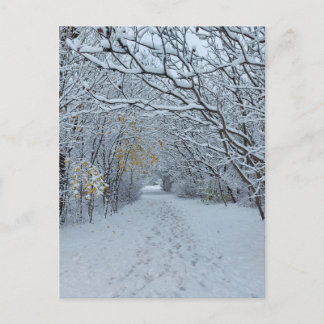Postal Winter Wonderland Snow Park Blank Card