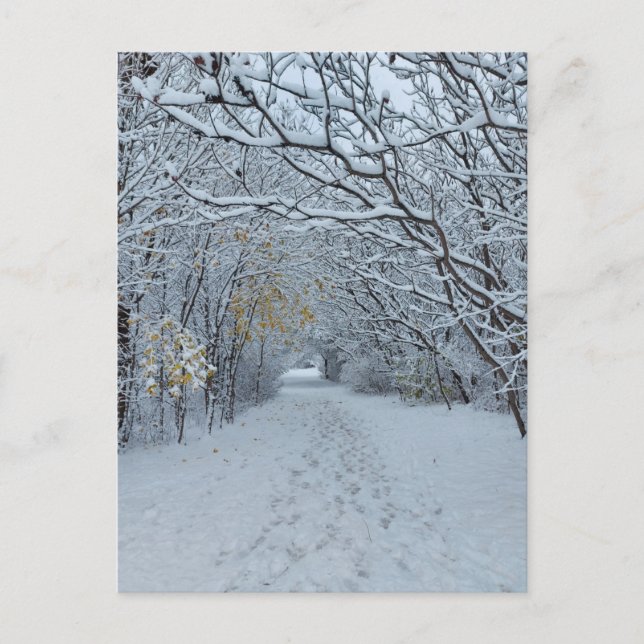 Postal Winter Wonderland Snow Park Blank Card (Anverso)