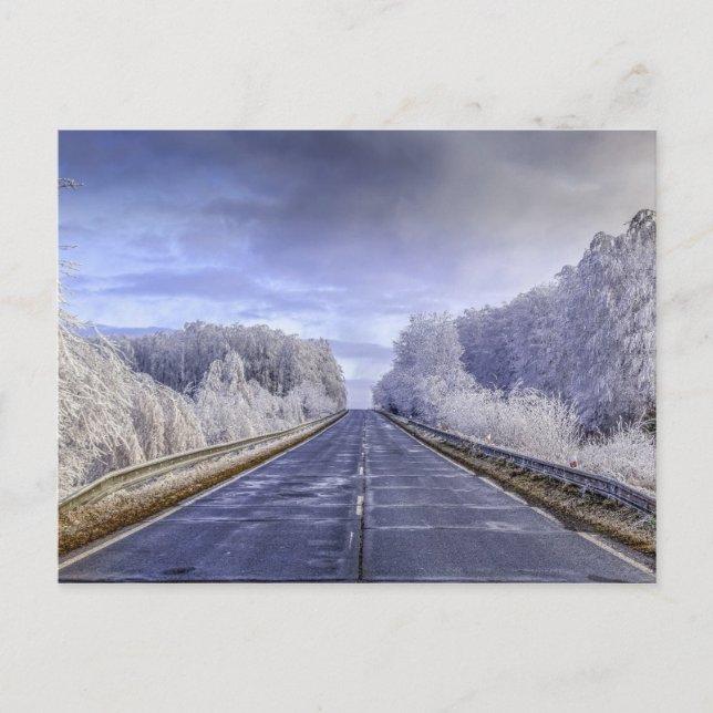 Postal Winter Wonderland Travel Photo (Anverso)