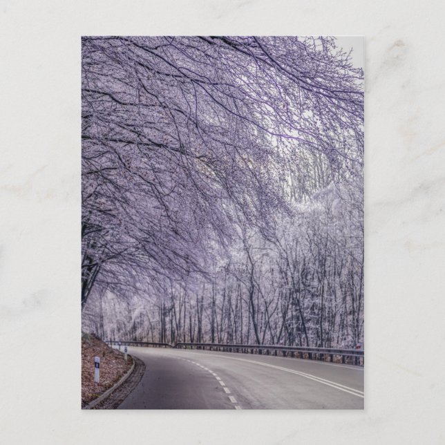 Postal Winter Wonderland Travel Photo (Anverso)