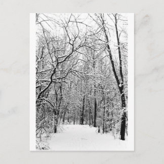 Postal Winter Woods