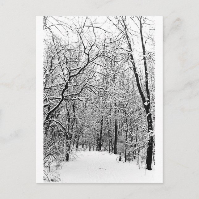 Postal Winter Woods (Anverso)