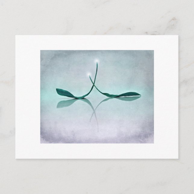 Postal Winterlicht (Anverso)