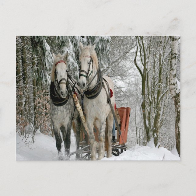 Postal Wintertime Sleigh Ride (Anverso)