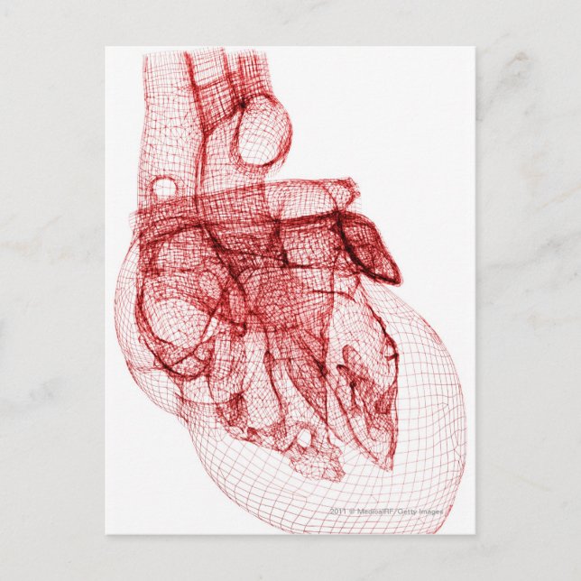 Postal Wireframe digital del corazón humano (Anverso)