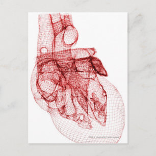 Postal Wireframe digital del corazón humano