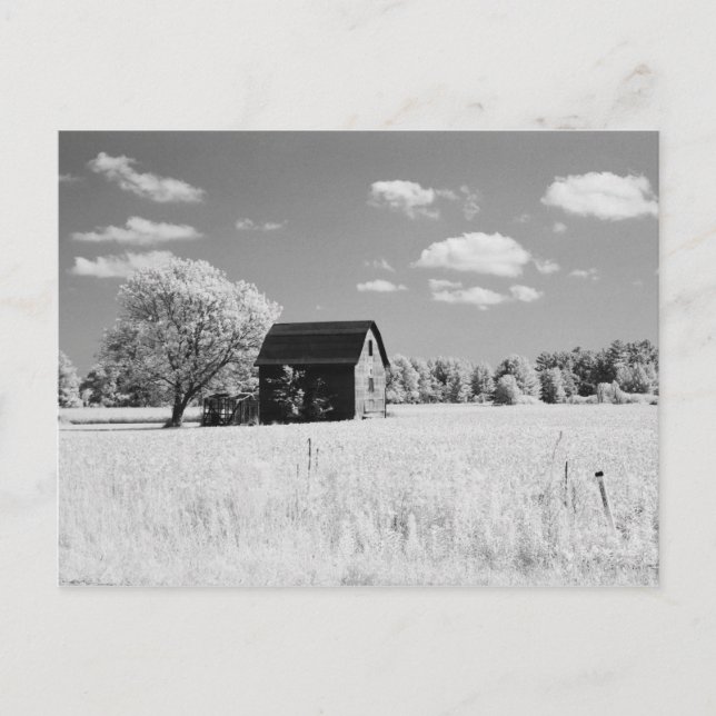 Postal Wisconsin Barn Photo Reprint (Anverso)