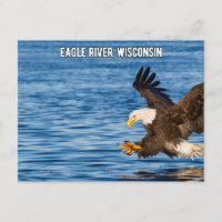 Postal Wisconsin del águila volante del río Eagle