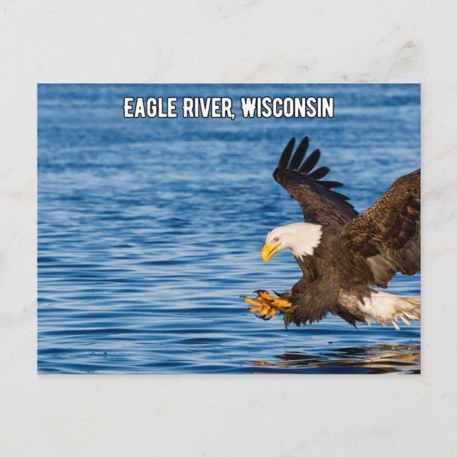Postal Wisconsin del águila volante del río Eagle (Anverso)