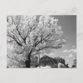 Postal Wisconsin Farm Postcard