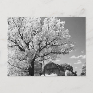 Postal Wisconsin Farm Postcard