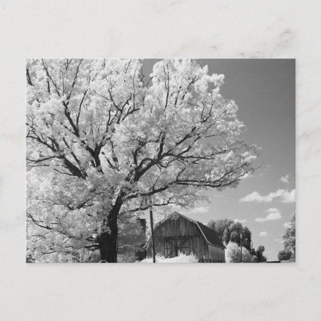 Postal Wisconsin Farm Postcard (Anverso)