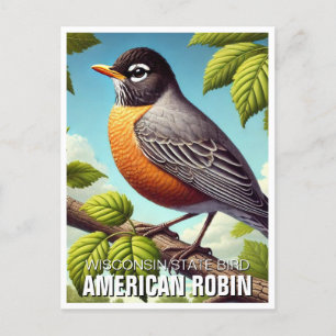 Postal Wisconsin State Bird American Robin