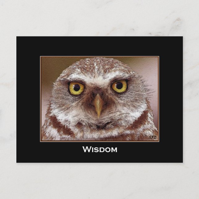 POSTAL WISDOM OWL (Anverso)