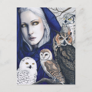 Postal Wisdom Owls Shaman Fantasy Postcard
