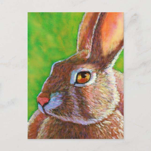 Postal Wise Bunny (Anverso)