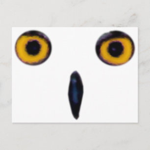Postal Wise Old Owl Eyes