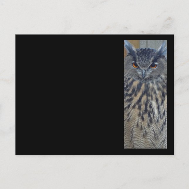 Postal Wise One (Anverso)