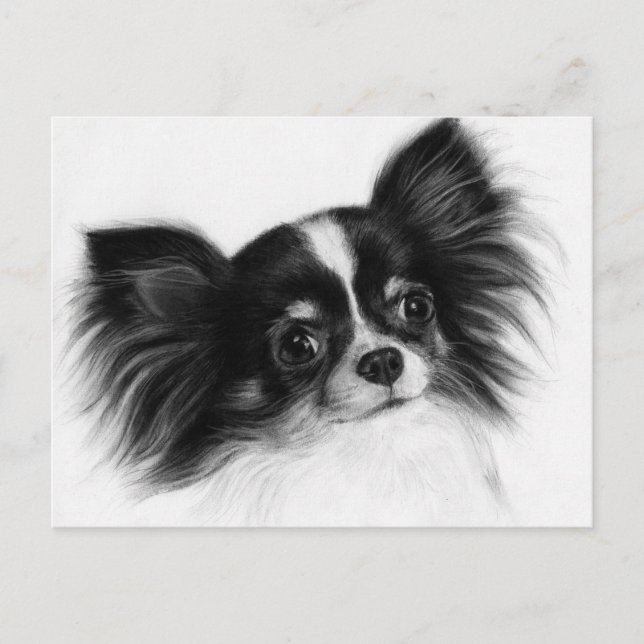 Postal Wise Soul - Retrato Chihuahua de alto rango pintad (Anverso)