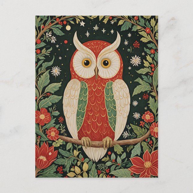 Postal Wise Winter Watcher (Anverso)