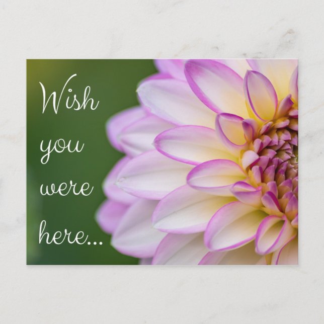 Postal Wish you were here... (Anverso)