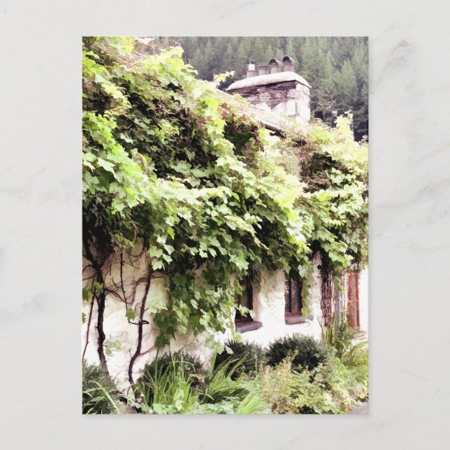POSTAL WISTERIA COTTAGE (Anverso)