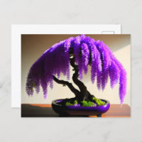Wisteria de Lluvia Púrpura Bonsai, Postcross