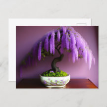 Wisteria de Lluvia Púrpura Bonsai, Postcross
