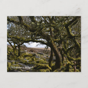Postal Wistman's Wood, Two Bridges, Princetown, Devon UK