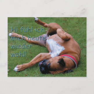 Postal Wohlfühlboxer