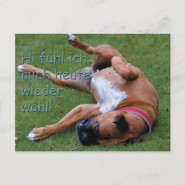 Postal Wohlfühlboxer (Anverso)