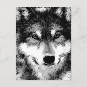 Postal Wolf