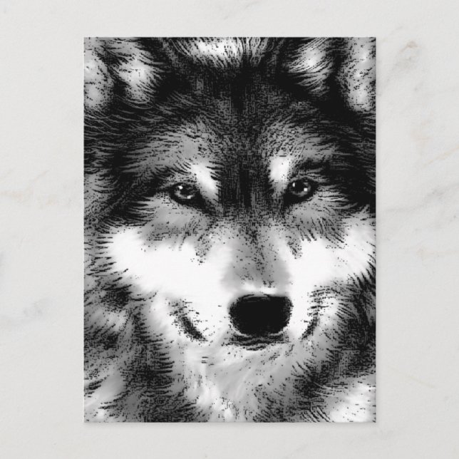 Postal Wolf (Anverso)