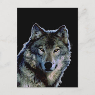 Postal Wolf