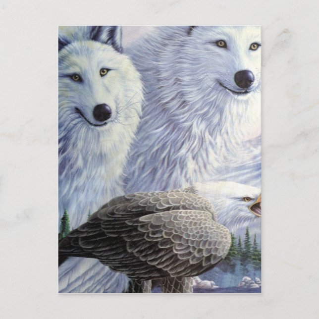Postal Wolf Eagle Animals Parque Natural Oficina Arte de  (Anverso)