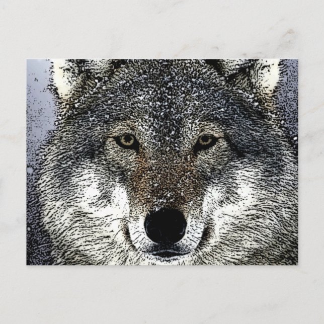 Postal Wolf Eyes (Anverso)