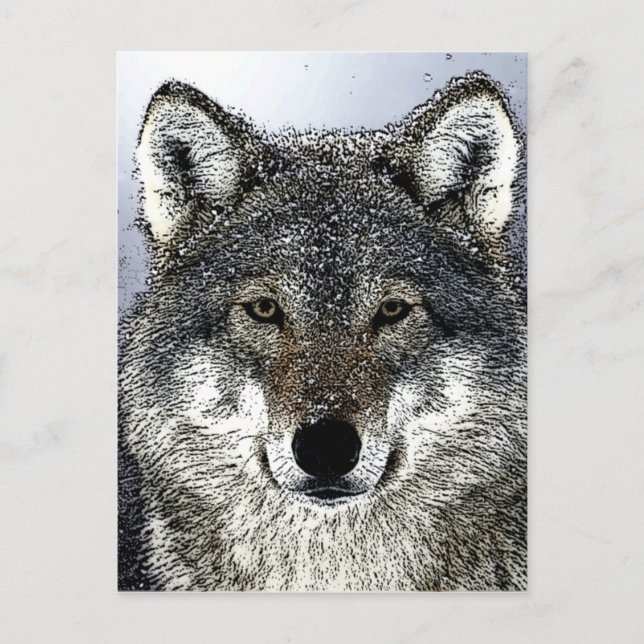Postal Wolf Eyes (Anverso)