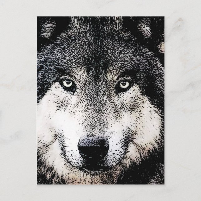 Postal Wolf Eyes (Anverso)