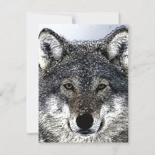 Postal Wolf Eyes